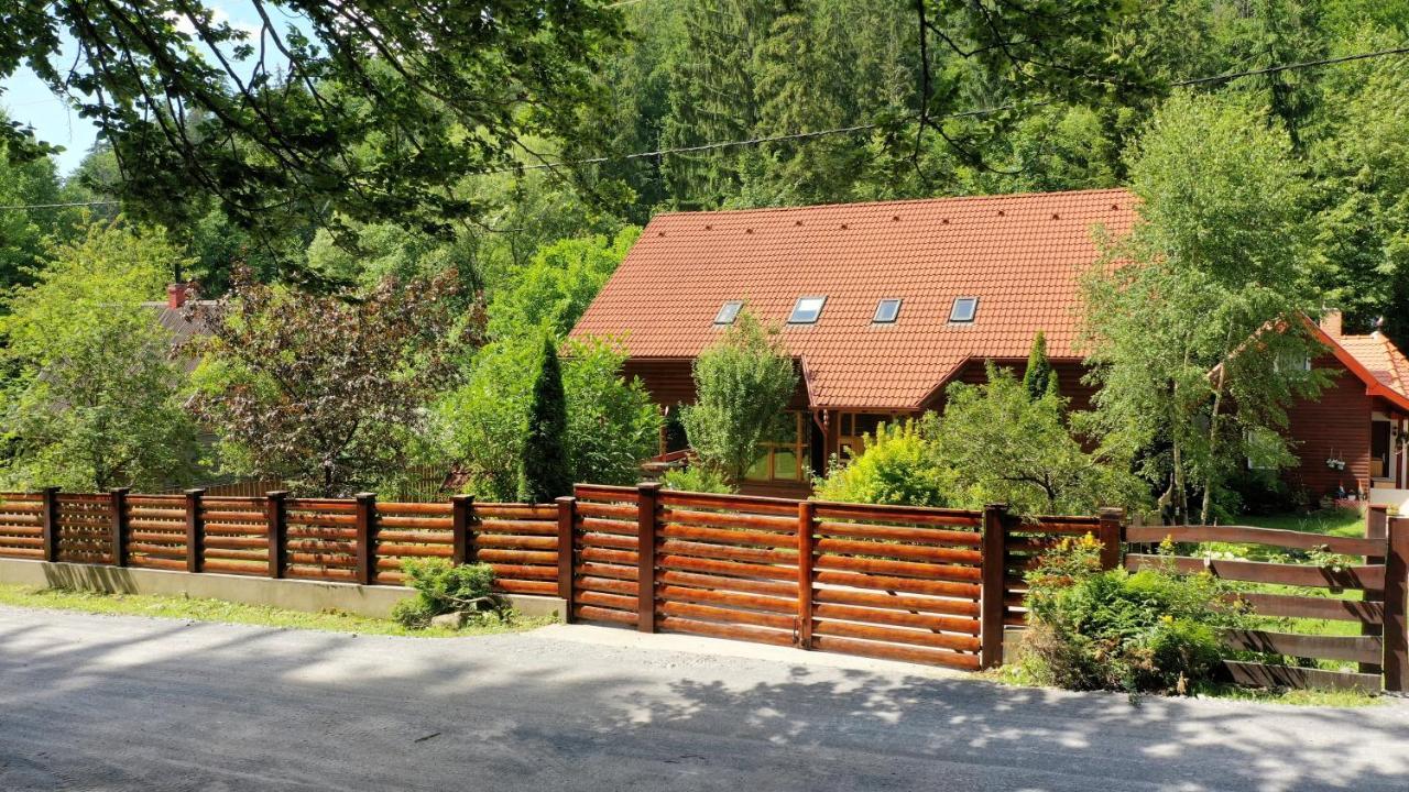 Platan Vendeghaz Villa Izvoare  Exterior photo